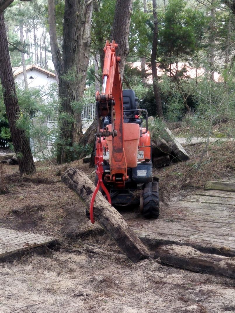 Mini-pelle orange saisit un tronc d'arbre avec une pince rouge dans une zone boisée sablonneuse, près d'une maison.