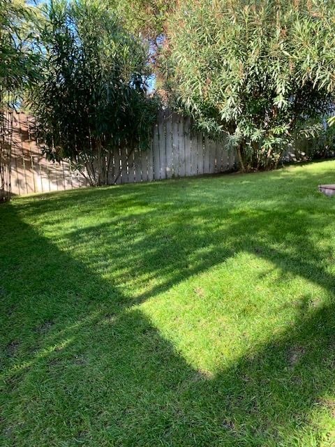 Pelouse verte et ensoleillée avec des ombres d'arbres projetées, bordée par une clôture en bois et une végétation dense.