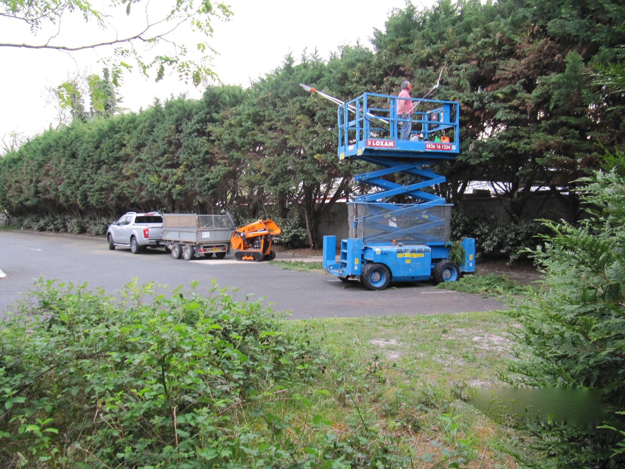 Élagueur sur nacelle élévatrice bleue LOXAM (0826 16 1234) taillant une haute haie de conifères avec une débroussailleuse, camion et remorque à côté.