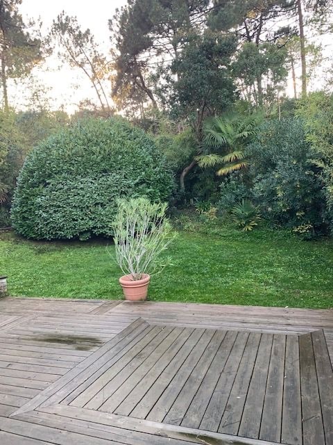 Terrasse en bois gris délavé donnant sur une pelouse verte luxuriante, bordée d'arbustes taillés et d'une végétation dense, avec un grand pot en terre cuite au centre.
